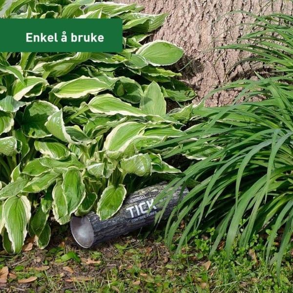 Flåttkontroll 340 m², view: 1