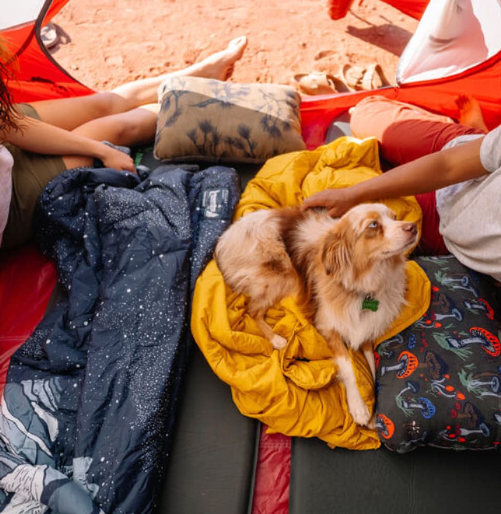 Stellar Blanket Greenwave, view: 2