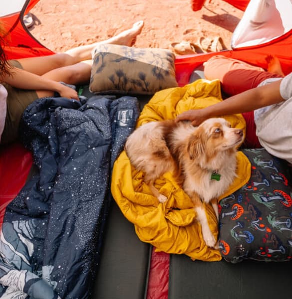 Stellar Blanket Space, view: 2