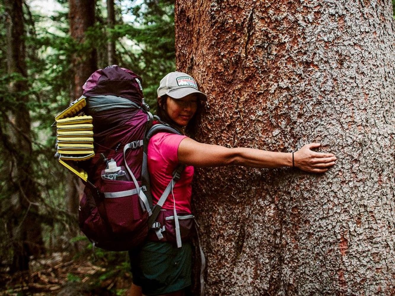 Z-Lite SOL Regular Limon, view: 1