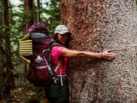 Z-Lite SOL Regular Limon - view: 1