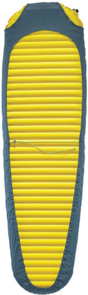 Synergy Lite Sheet 20 Stargazer, view: 2