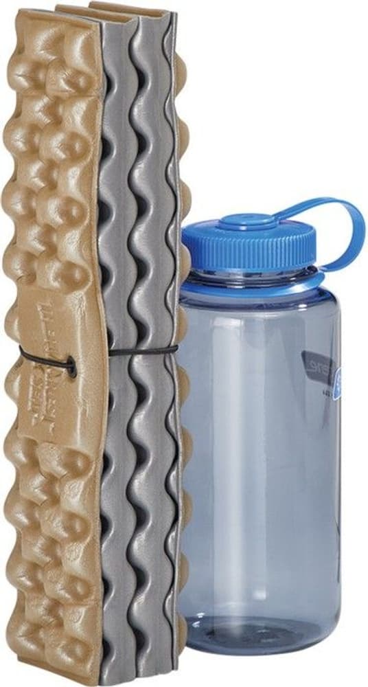 Z Seat Coyote, view: 1