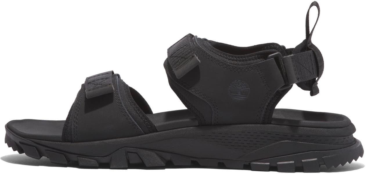 Womens Lincoln Peak 2 Strap Sandal Blk Leather, view: 1