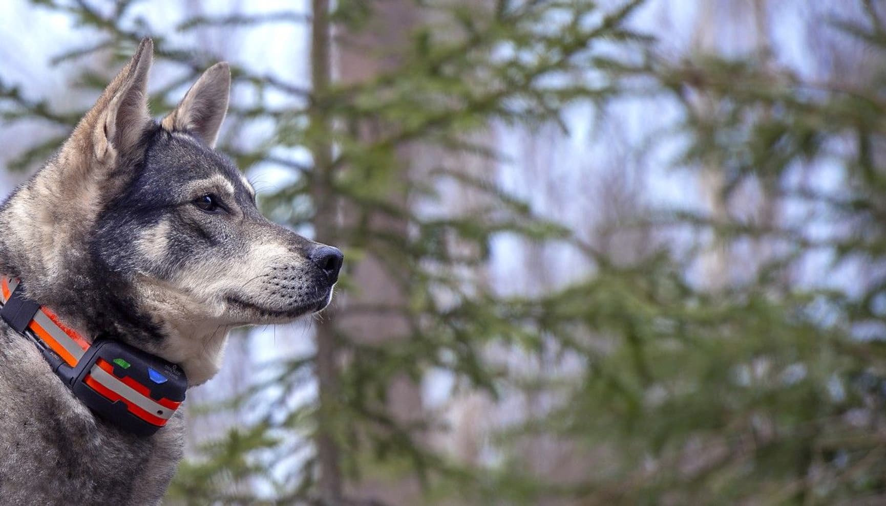 Artemis Easy, view: 2