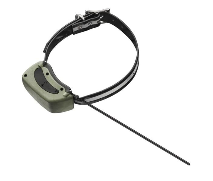 G1000 Maximal 3G hunde-GPS, view: 1