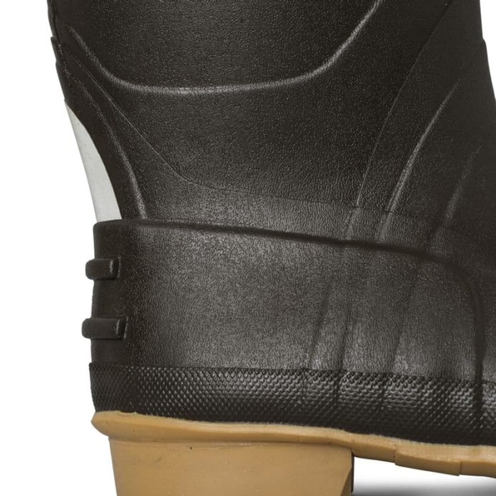 Castor Brown, view: 3