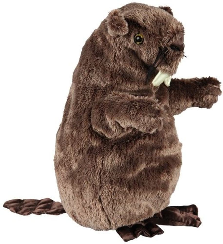 Bever 27 cm, view: 0