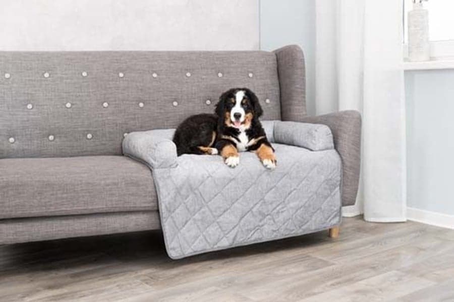 Nero Sofaseng, view: 0