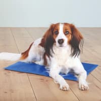 Kjølepute 110 × 70 cm Blå - view: 1