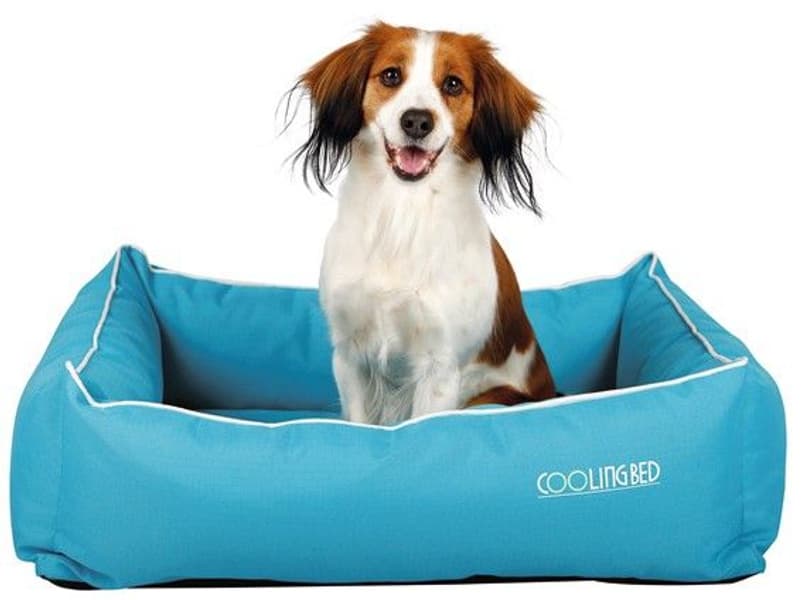 kjøleseng 65x50cm, view: 0