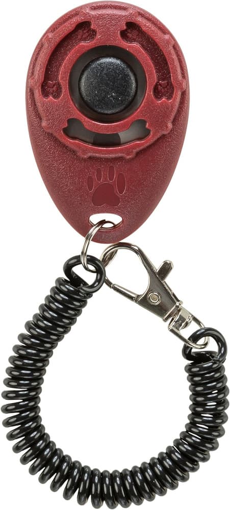 Sporting Klicker, view: 0