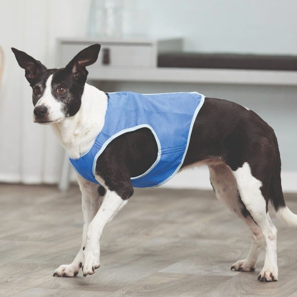 Kjølevest PVA M 30cm, view: 1