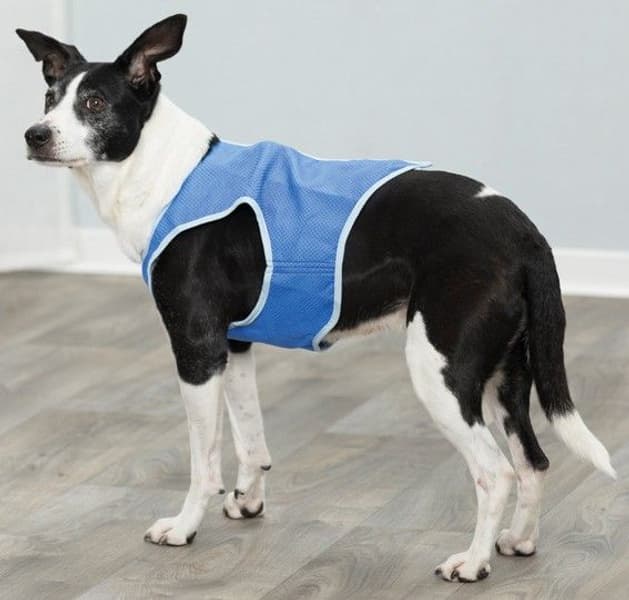 Kjølevest PVA S 25cm, view: 1