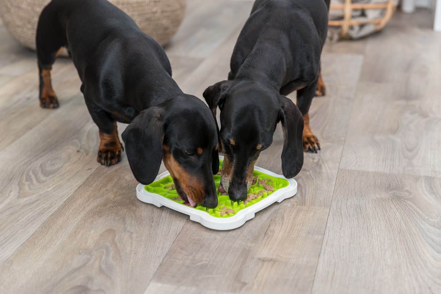 Lick'N'Snack Plate, view: 1