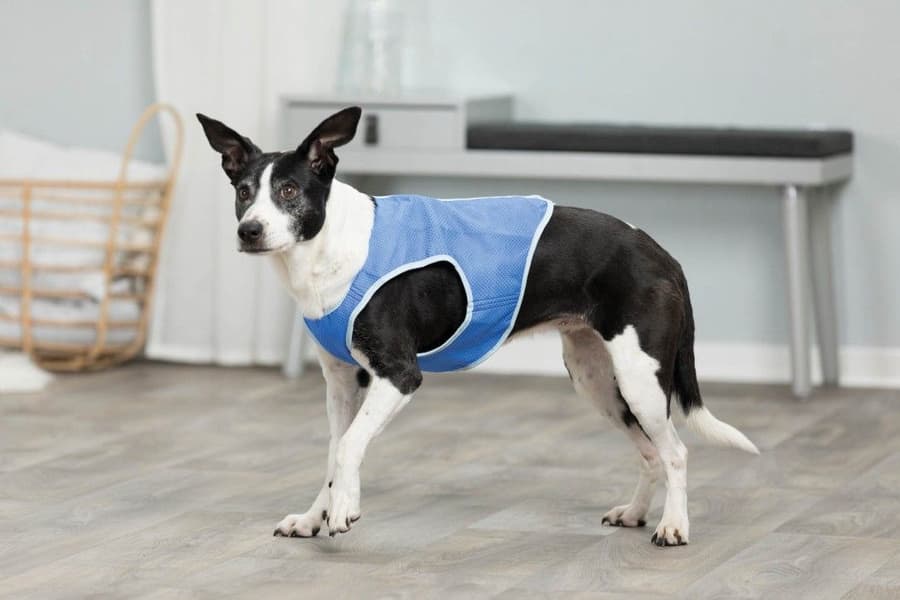 Kjølevest PVA XL 40 cm, view: 2