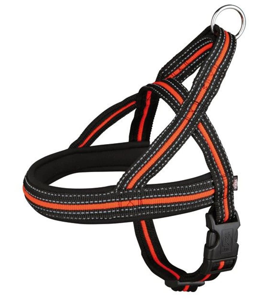 Sele Norwegian 68-88 cm, view: 1