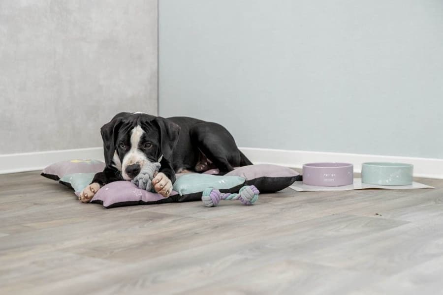 Junior Rope Dumbbell, view: 1