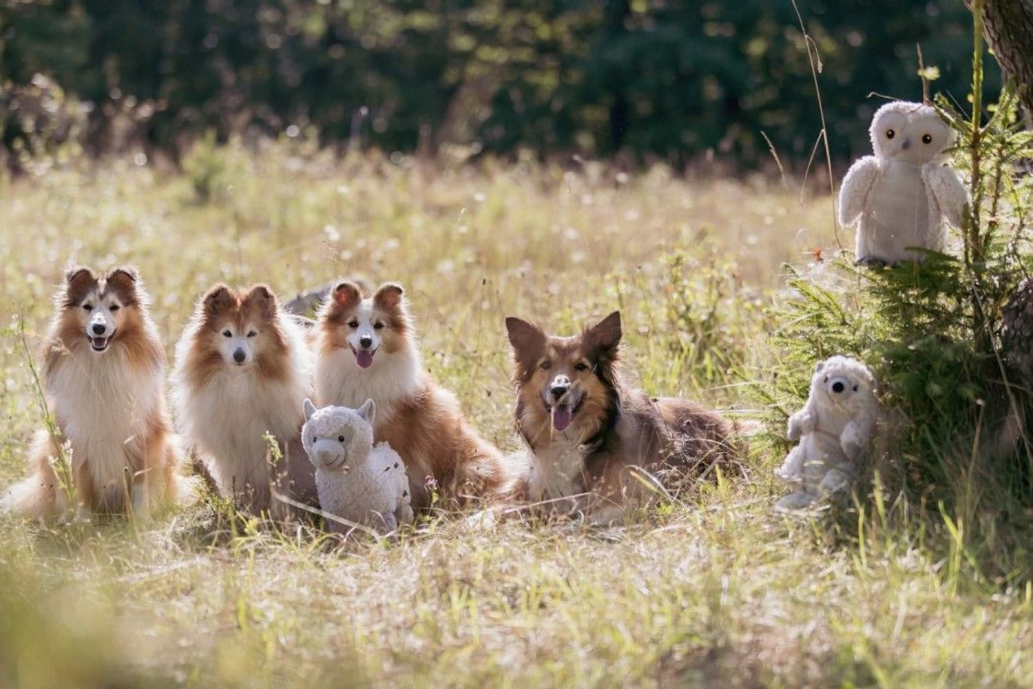 Be Eco Uggla Emily 28 cm, view: 2