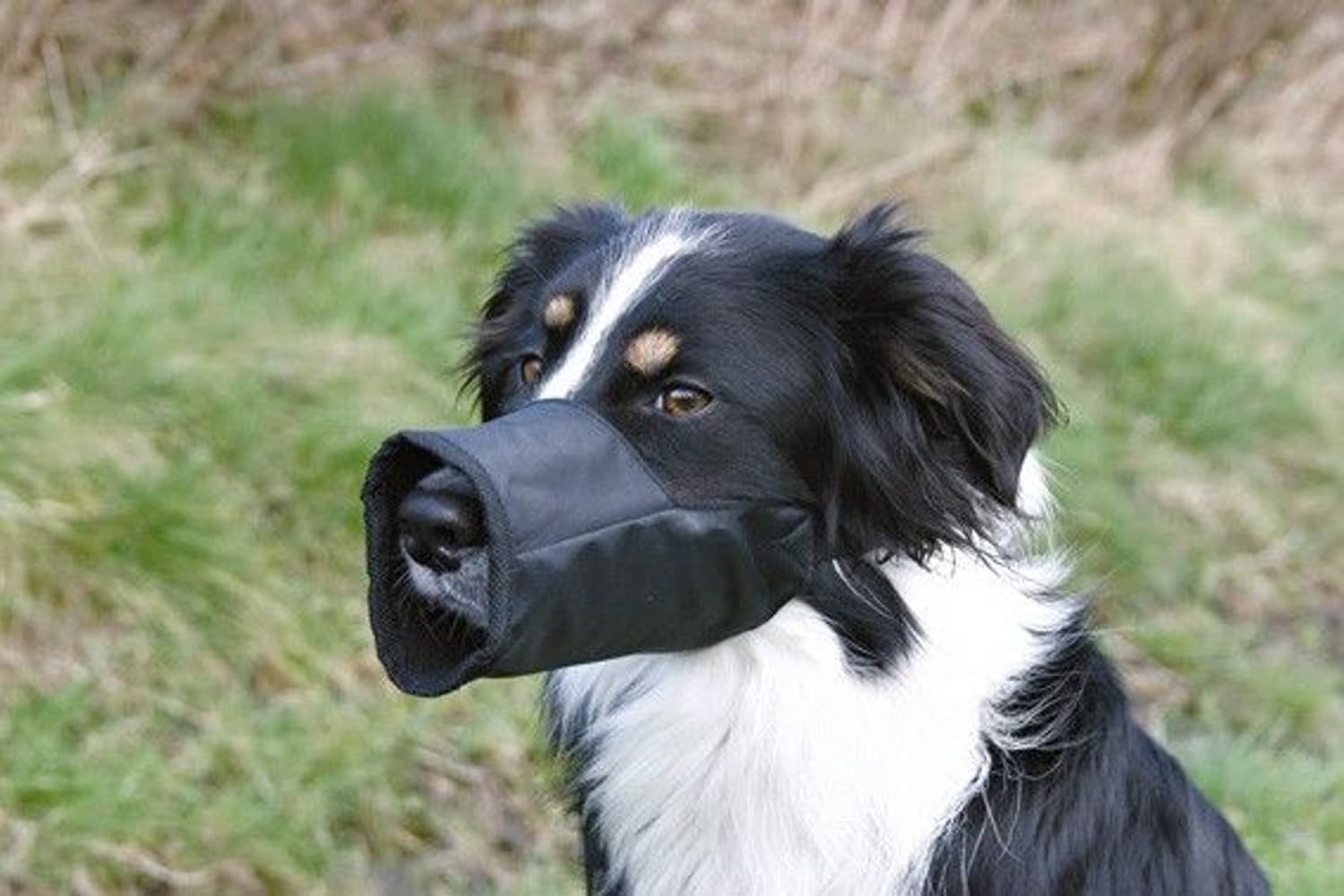 Munkorg Nylon L-XL 32 cm, view: 0