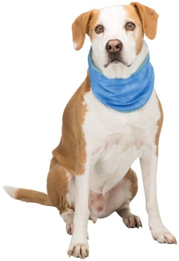 Kjølebandana PVA XL 46-56 cm, view: 1