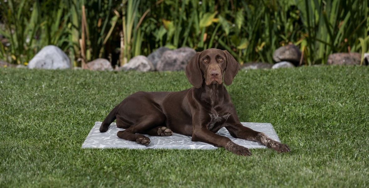 Kjøleteppe Soft L 65 × 50 cm, view: 5