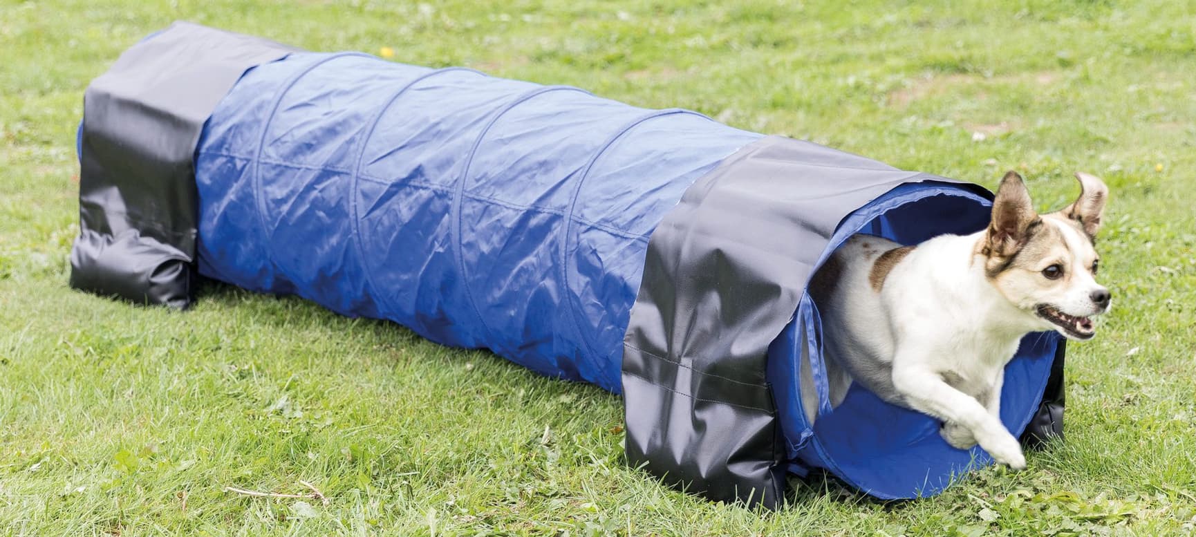 Agility Tunnel 40 x 200 cm, view: 1