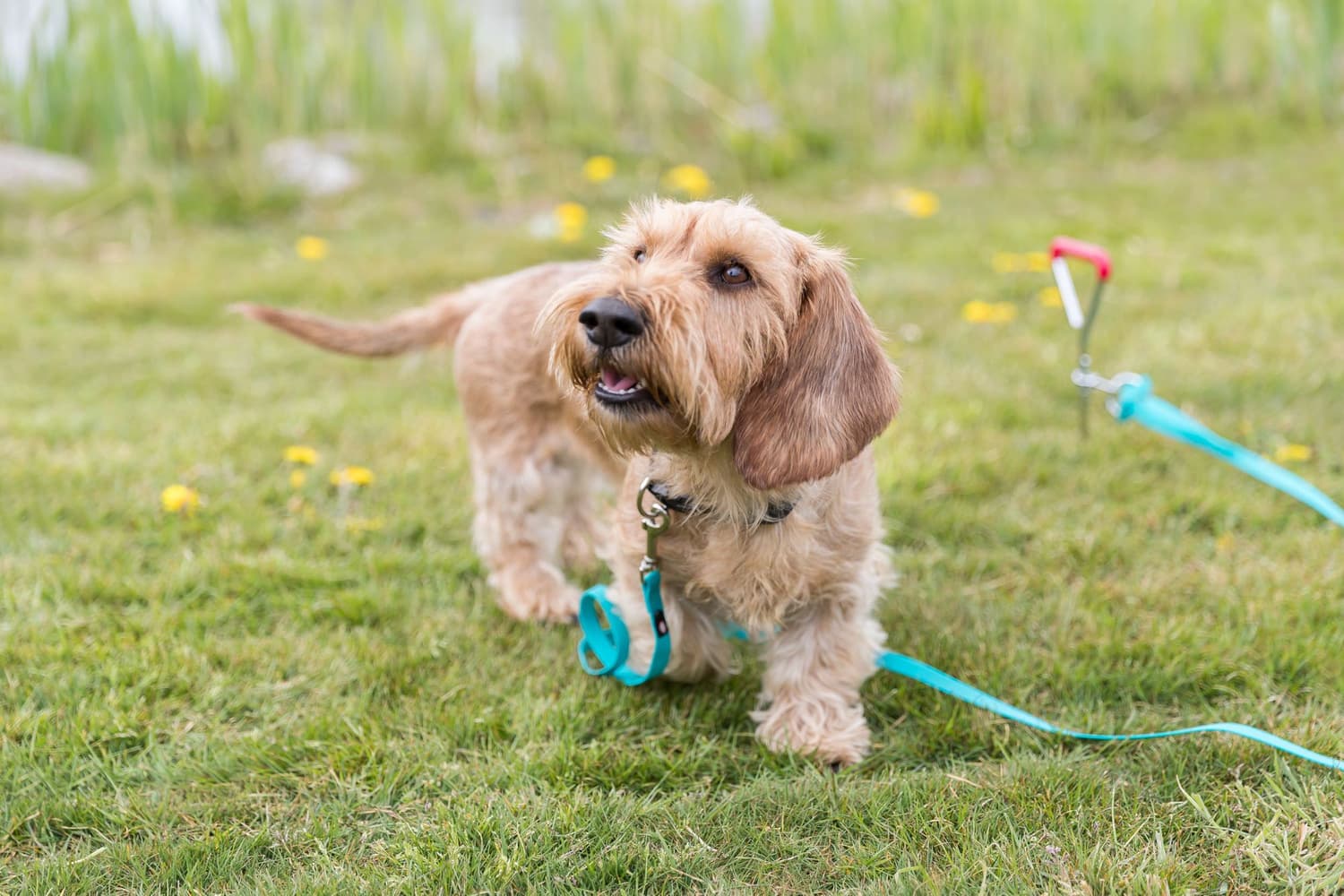 Tjorekrok 40 cm/ø 9,0 mm, view: 1