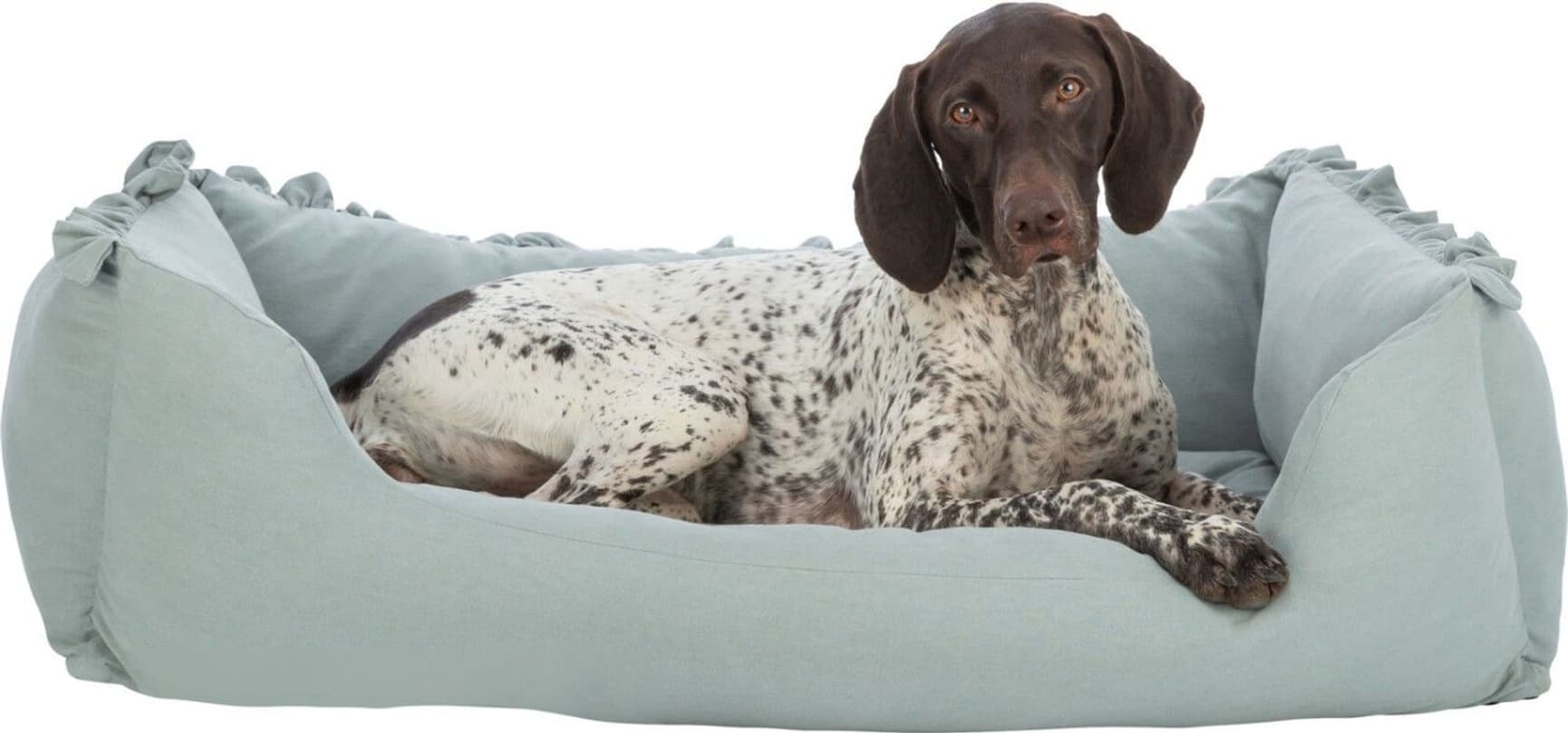 Amelie hundeseng 80 x 60 cm Sage, view: 1