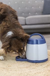 Memory Trainer 2.0 Nivå 3 - view: 3