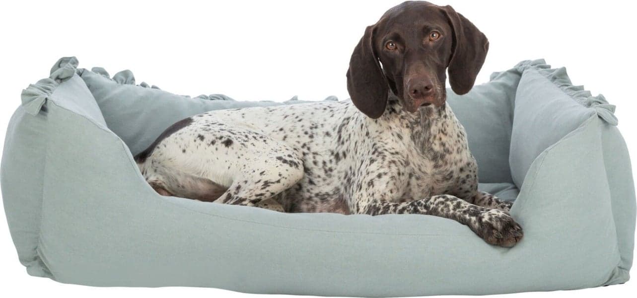 Amelie hundeseng 100 x 70 cm Sage, view: 1