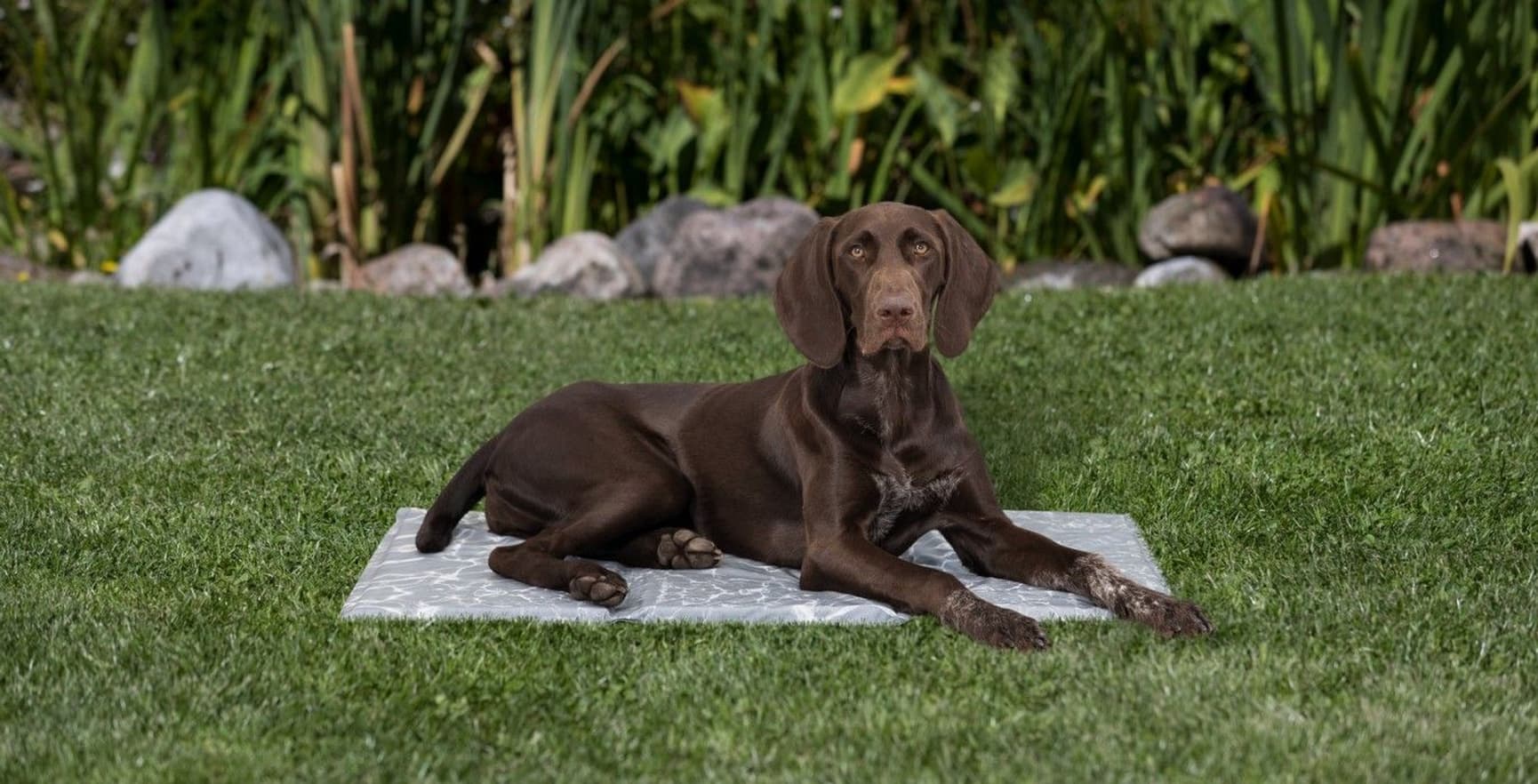 Kjølepute soft XL/2 90 × 60 cm, view: 5