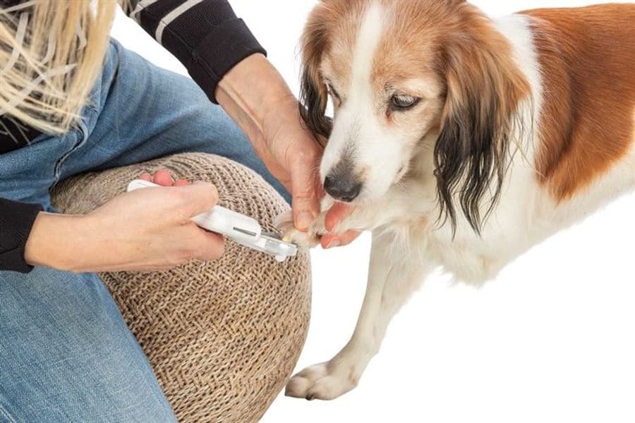 Klotång med LED-ljus 15cm, view: 3