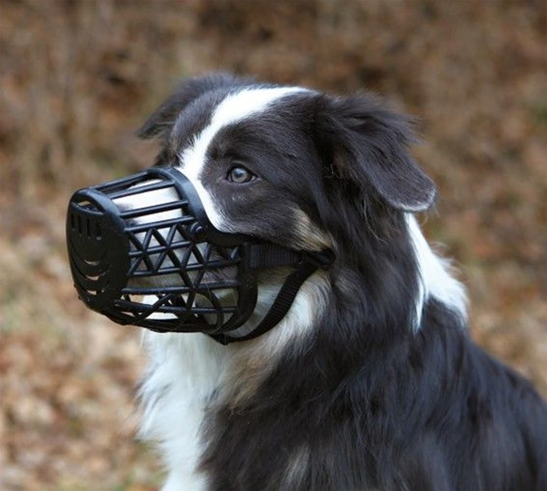 Munnkurv Plast Svart M 22 cm, view: 1