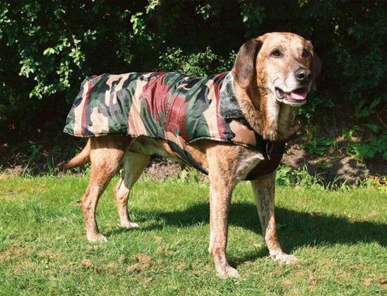 Hundevest Kamuflasje 70 cm, view: 0