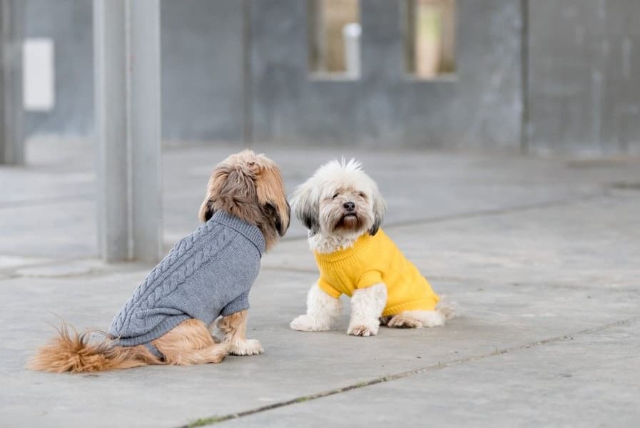 Kenton Pullover Grå 55-60 cm, view: 2