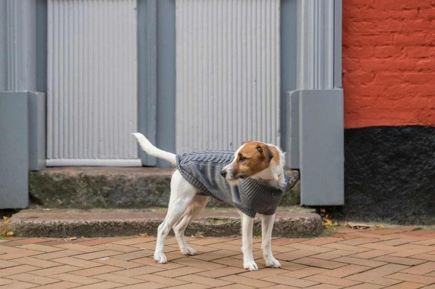 Kenton Pullover Grå 55-60 cm, view: 3