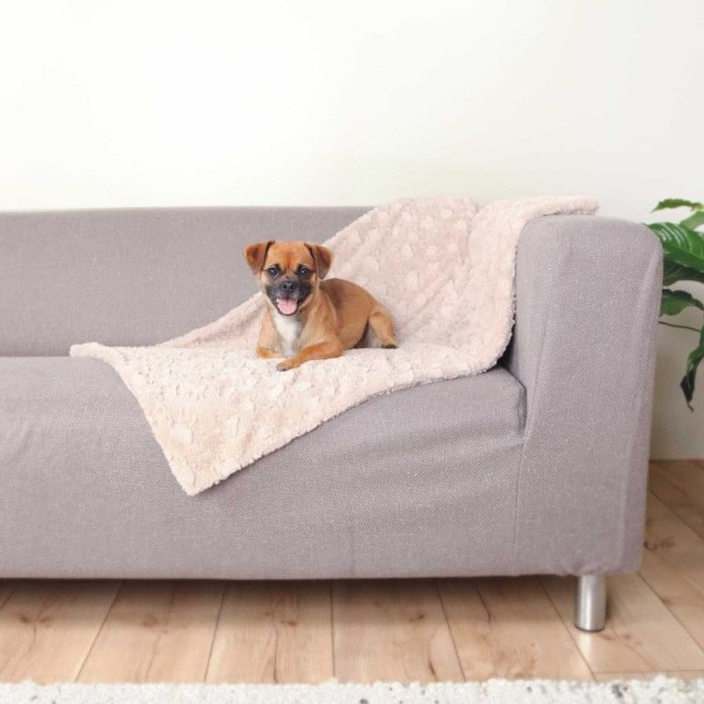 Hundefilt Cosy 100 × 70 cm Beige, view: 1
