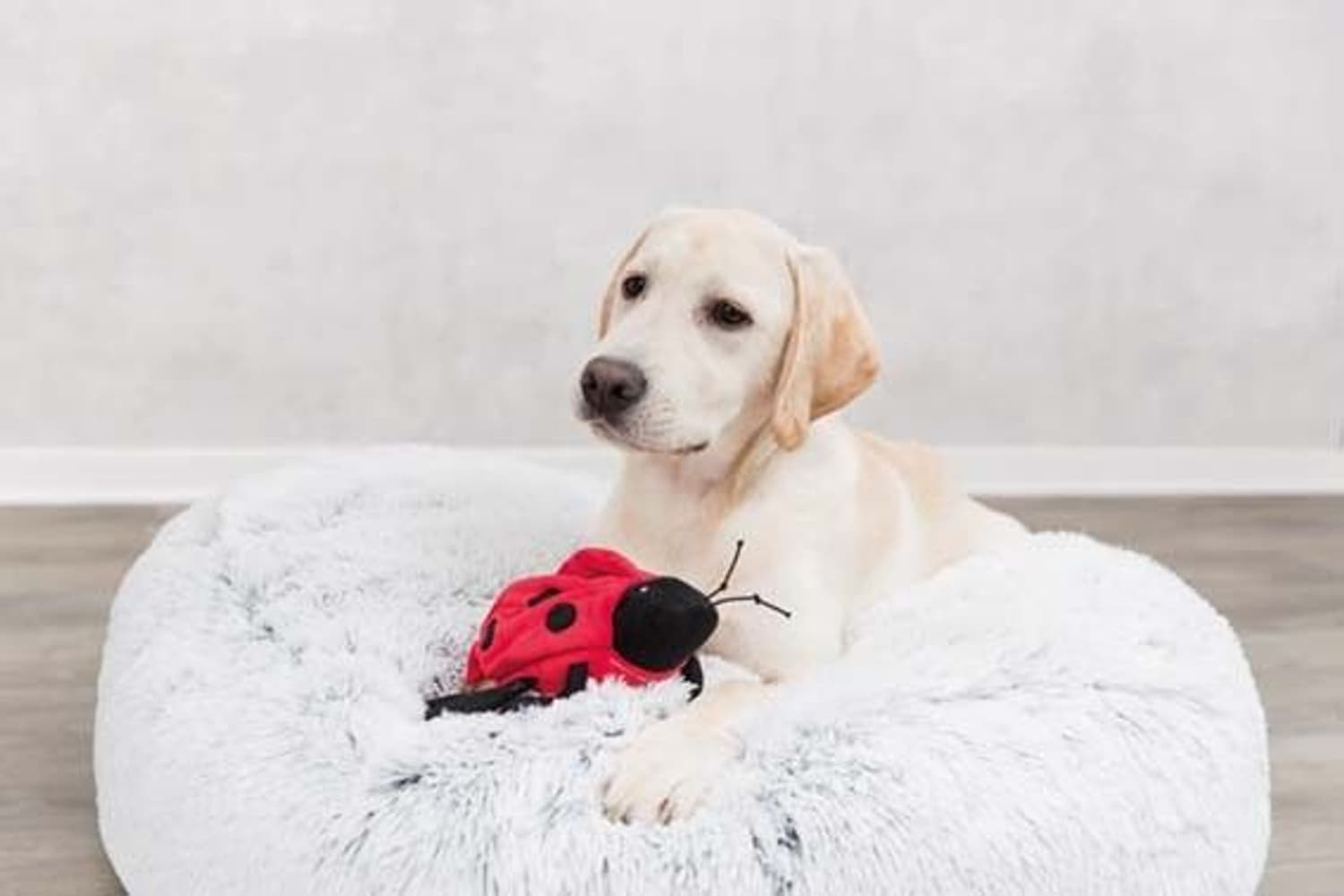 Harvey Seng Ø100 cm Hvit/Svart, view: 2