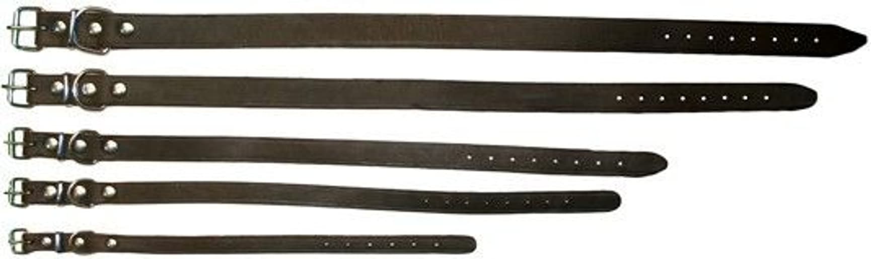 Halsbånd Naturskinn 12 mm / 30 cm, view: 0