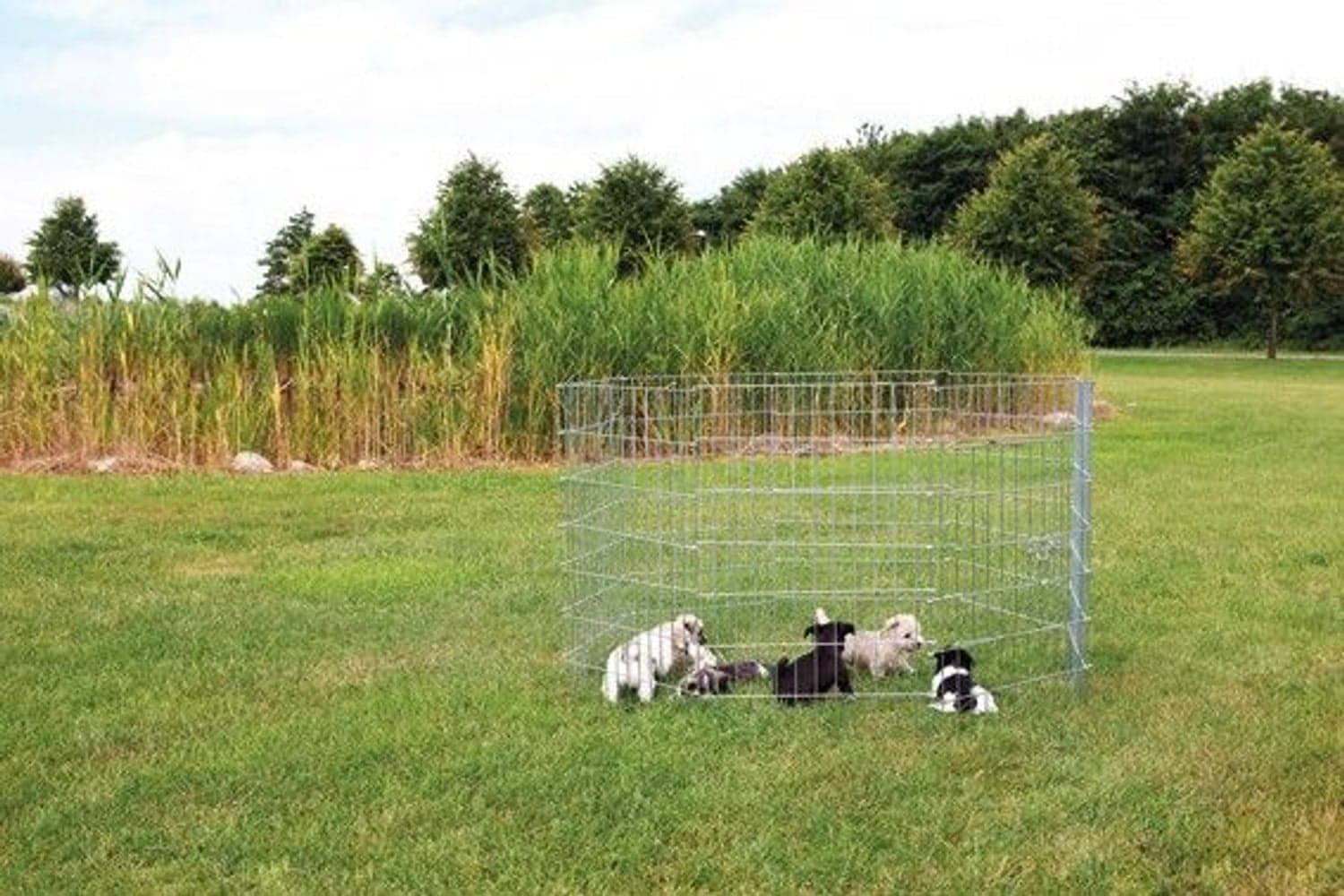 Valphage Metall 8 Sekt: 61 X 91 cm, view: 0