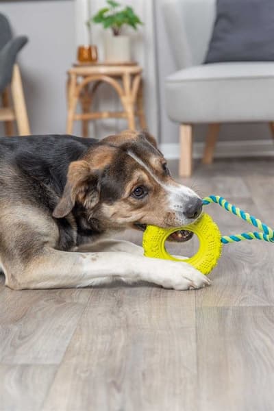 Leksak Gummidekk På Reip 15/32 cm, view: 3