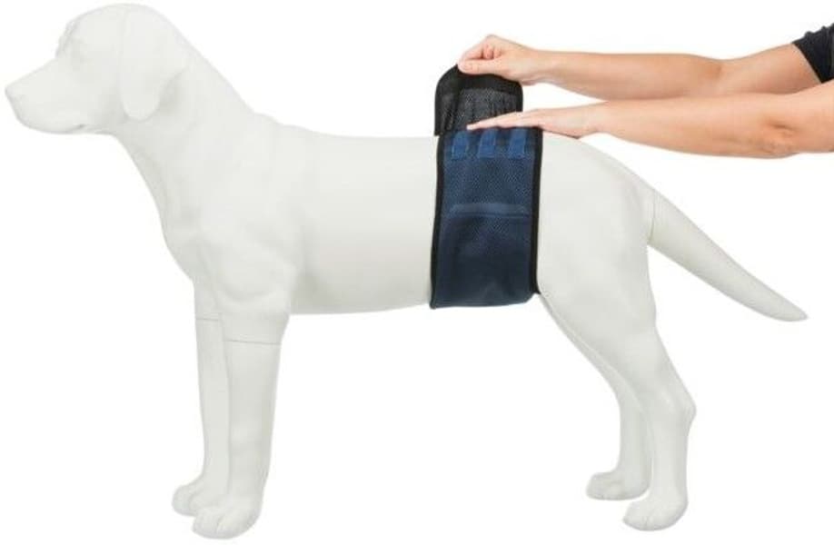 Hannhundsbeskyttelse Mørkeblå L-XL, view: 6