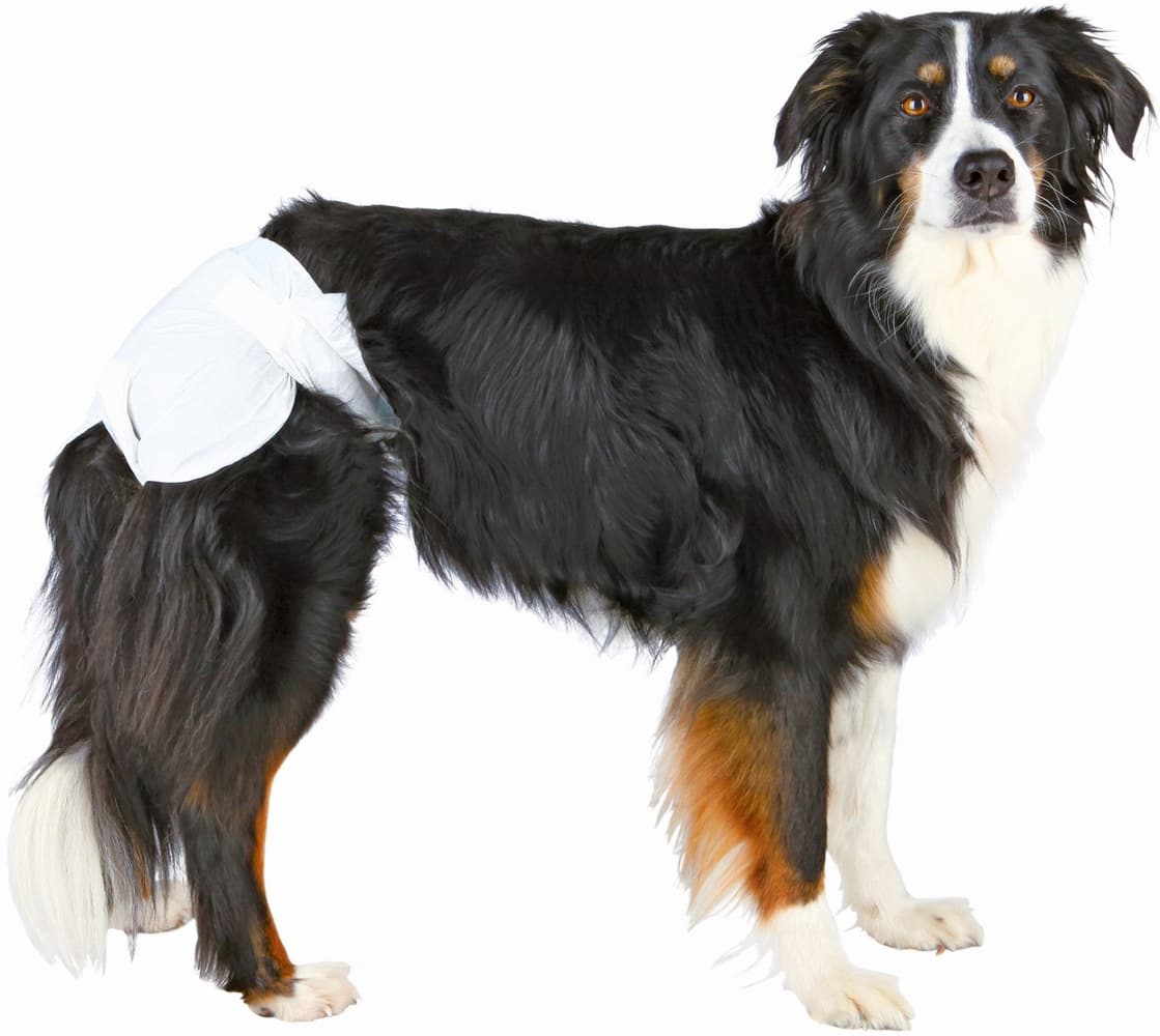 Bleier for Tisper M-L 36-52 cm 12-pack, view: 1