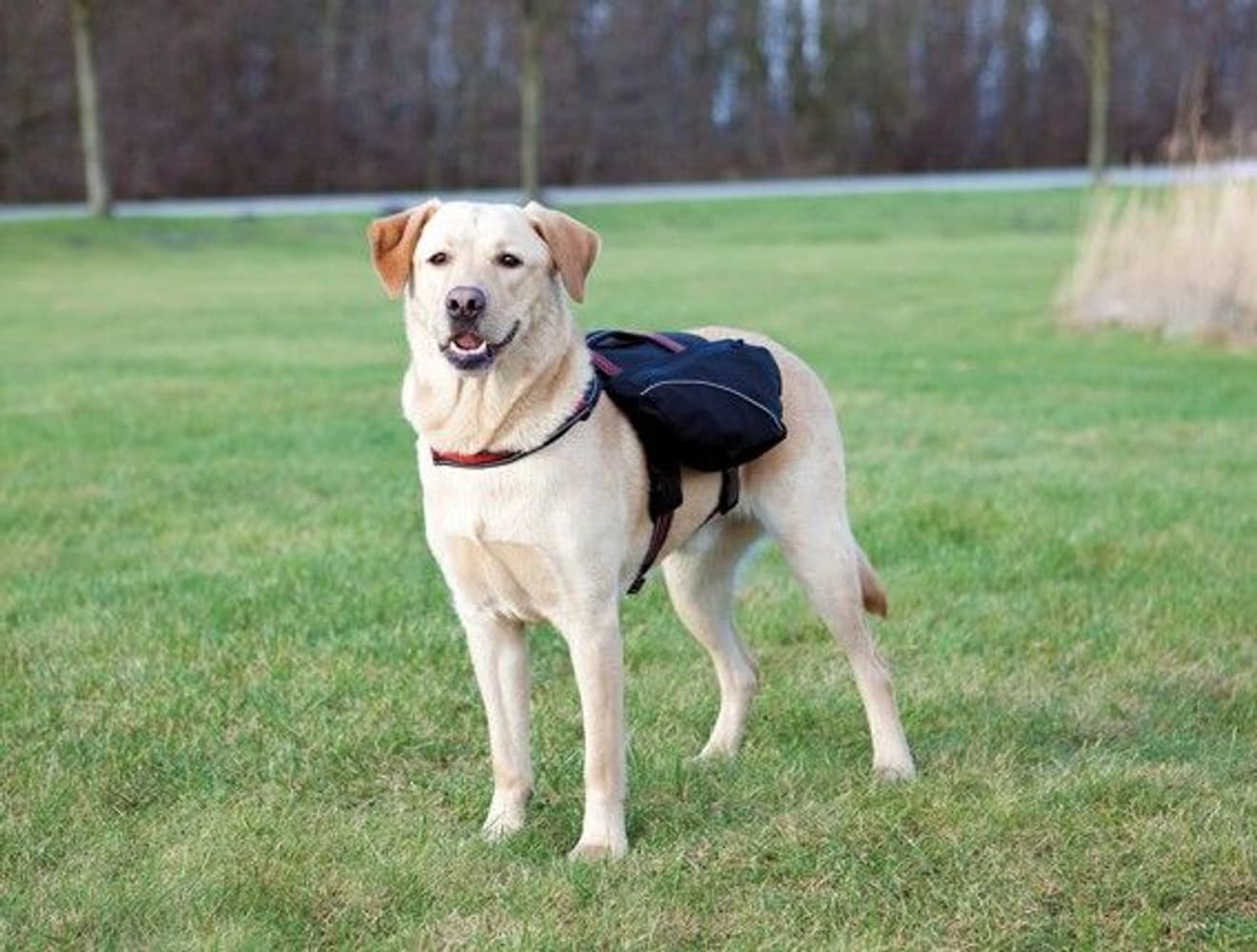 Kløv L-Xl: 31 x 17 cm Svart, view: 0