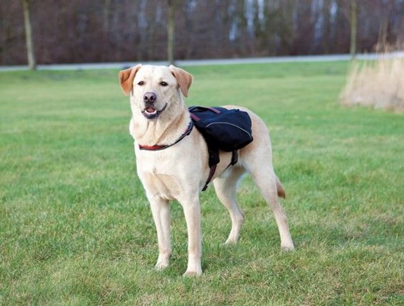 Kløv L-Xl: 31 x 17 cm Svart, view: 0