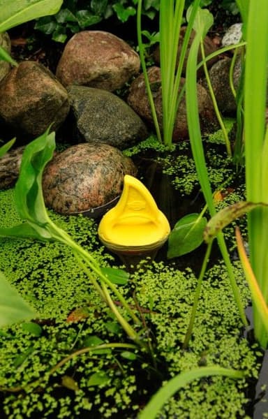 Aqua Toy "Haifinne" Flytende TPR ø 18 cm, view: 3