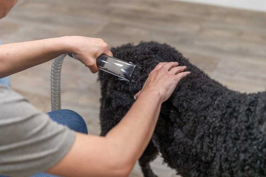 Klippesett med pelsstøvsuger 2 L 600W, view: 8