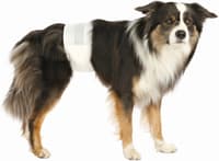 Bleier for Hannhund M-L 46-60 cm 12-pack - view: 1