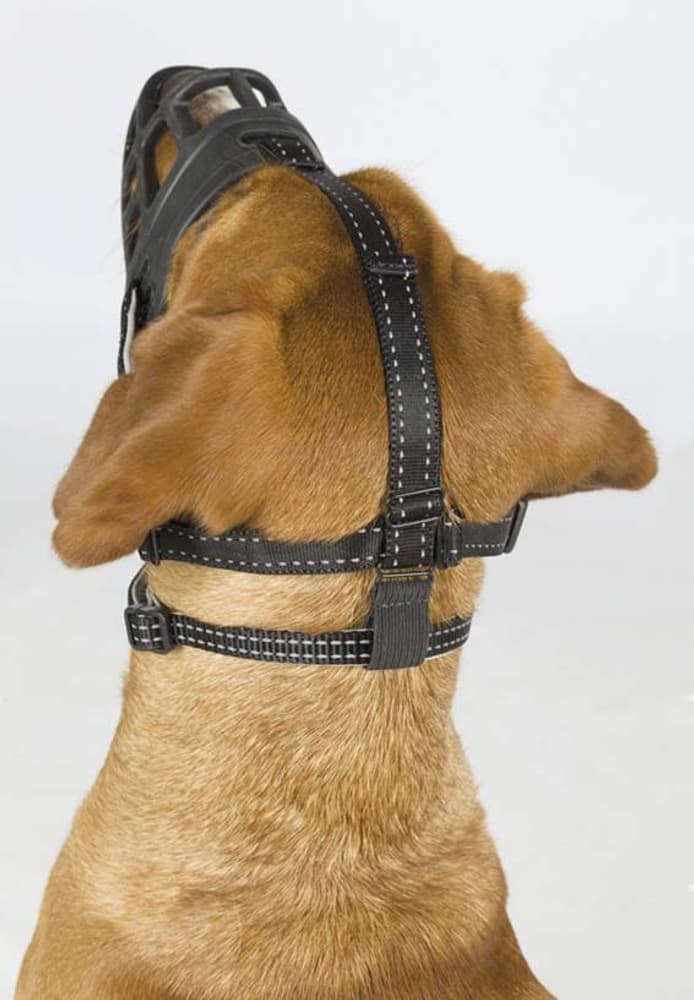 Munnkurv Muzzle Flex Silicon XL Svart, view: 2